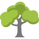 Los Gatos Tree Removal
