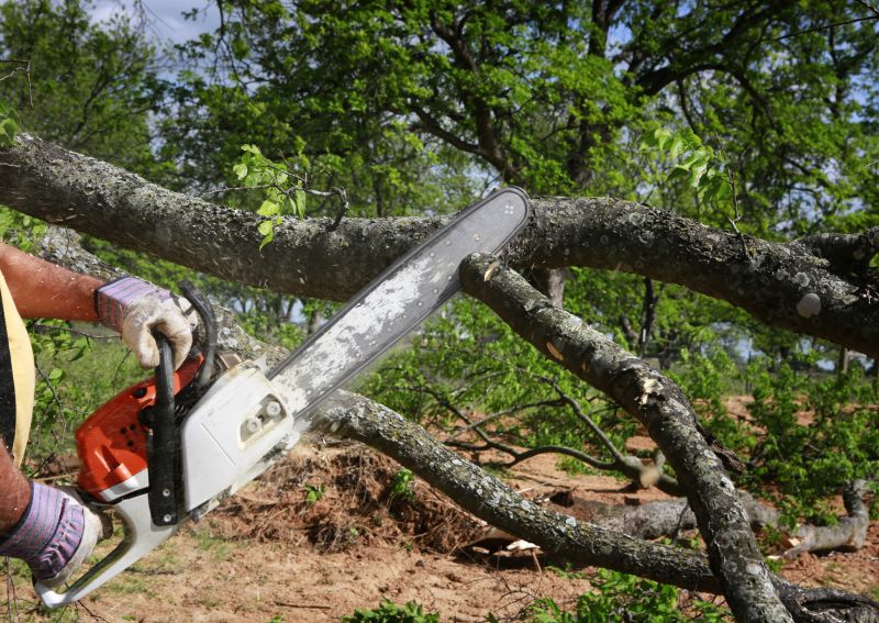Products For Tree Removals in use