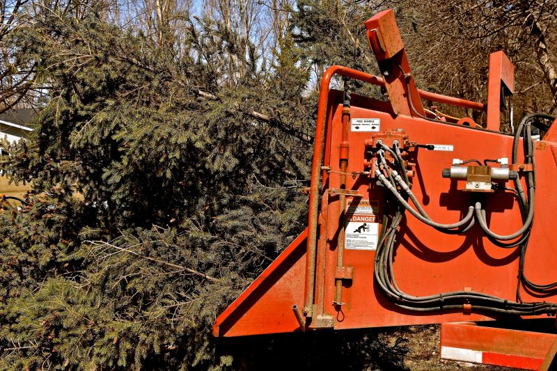 Spring Tree Removal Equipment